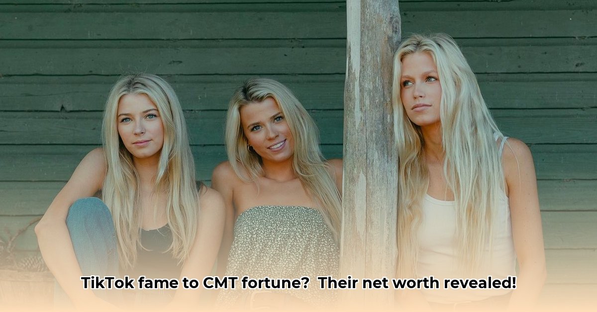 the-castellows-net-worth